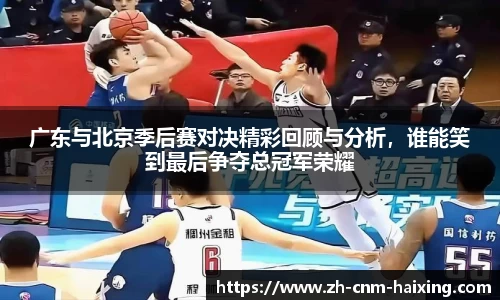 海星体育直播官方网站